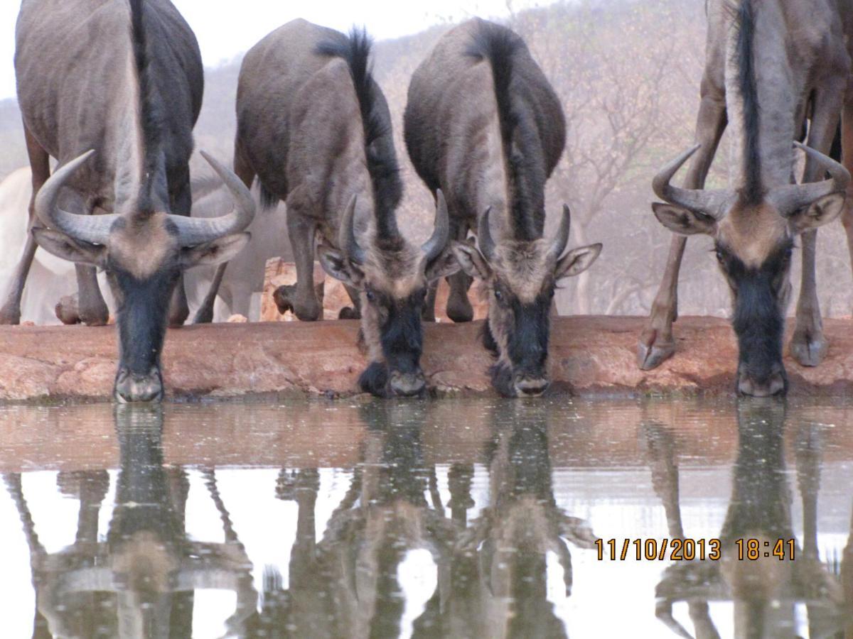 אוטג'ו Okutala Etosha Lodge מראה חיצוני תמונה