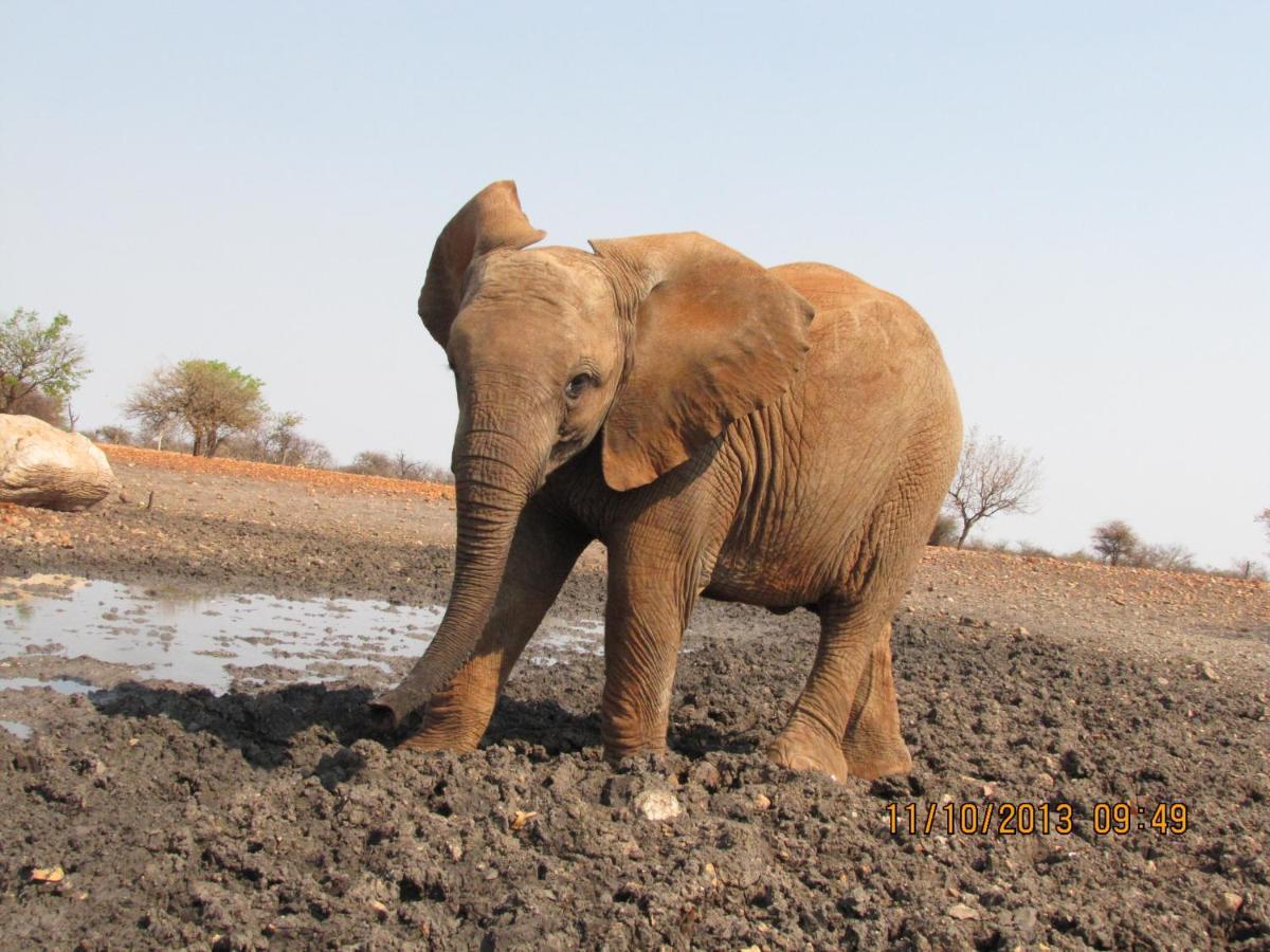 אוטג'ו Okutala Etosha Lodge מראה חיצוני תמונה