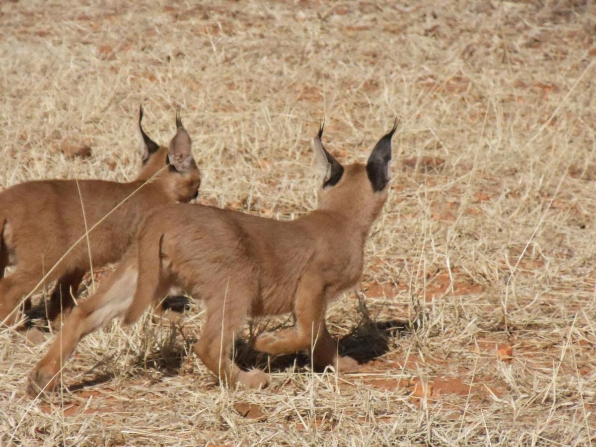 אוטג'ו Okutala Etosha Lodge מראה חיצוני תמונה